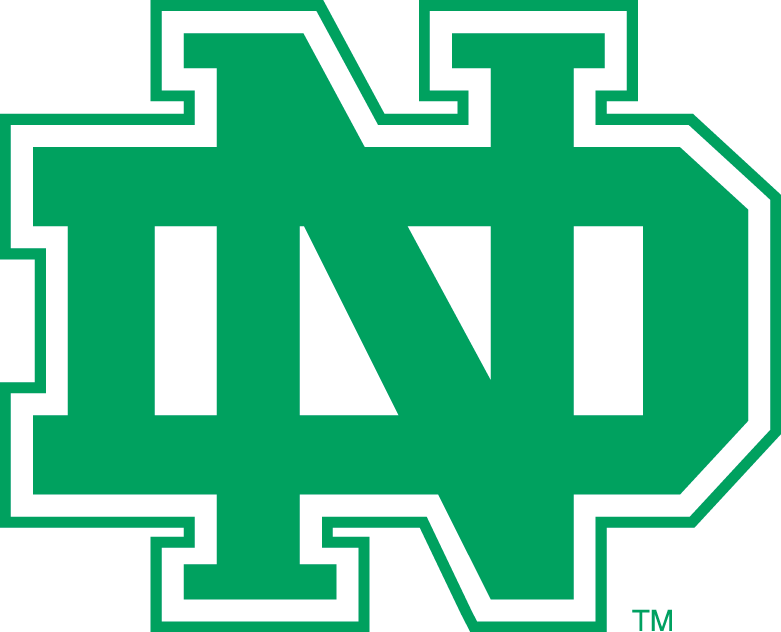 North Dakota Fighting Hawks 1974-2001 Alternate Logo iron on transfers for T-shirts